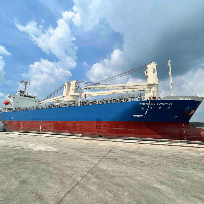 dich-vu-logistics-tau-hang-deryoung-sungrace